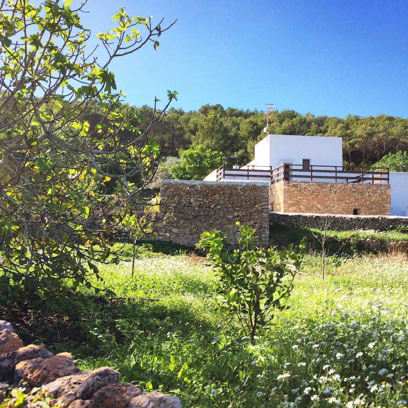 white and blue ibiza